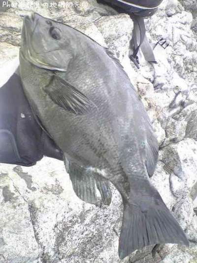 �����᥸��