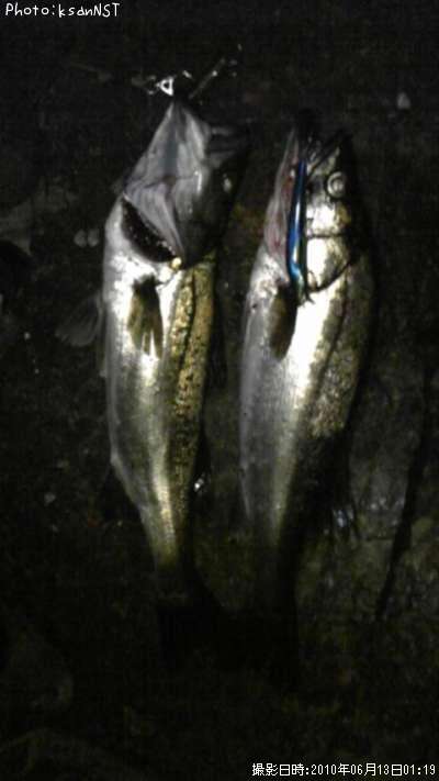 �����Х�