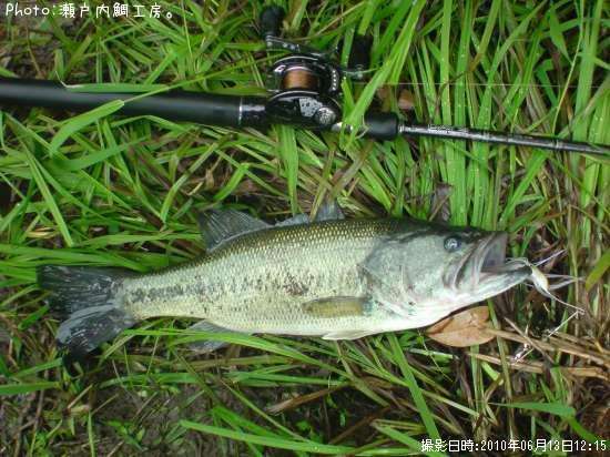 �֥�å��Х�