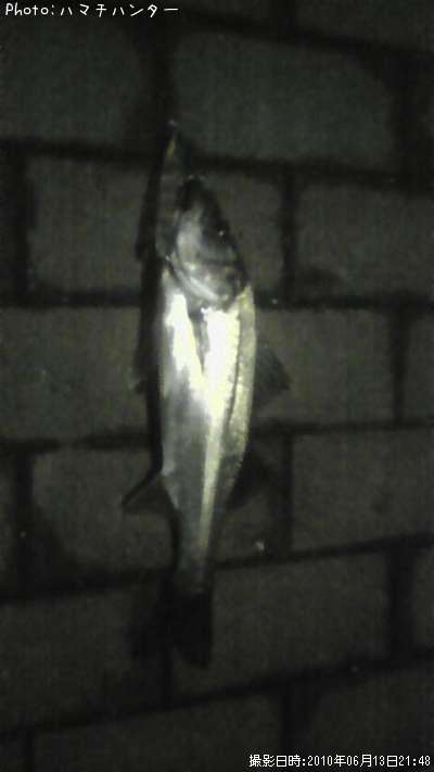 �����Х�