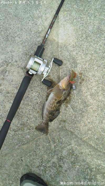 �����ʥ�