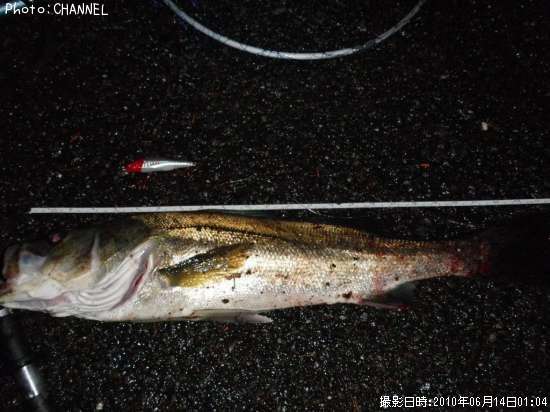 �����Х�