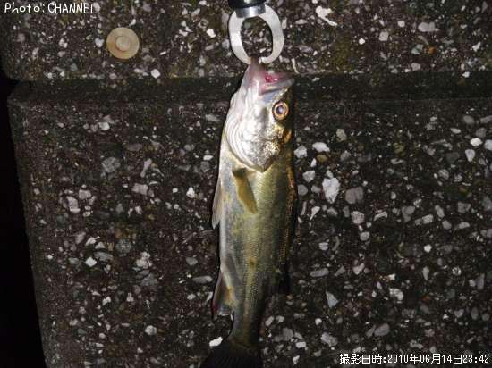 �����Х�