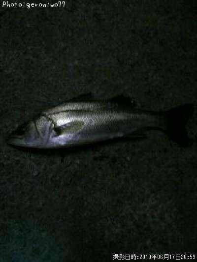 �����Х�