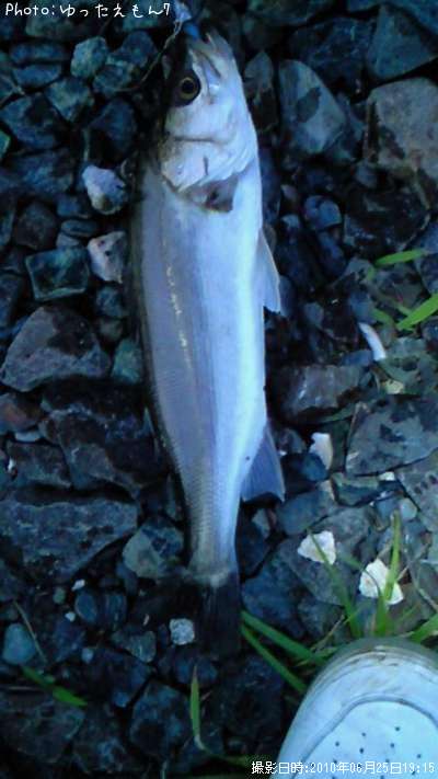 �����Х�