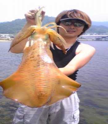 �����ꥤ��