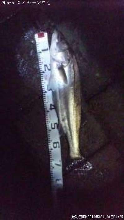 �����Х�