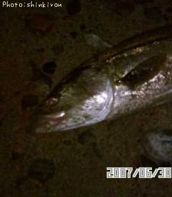 �����Х�