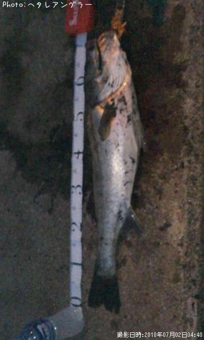 �����Х�