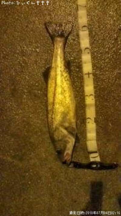 �����Х�