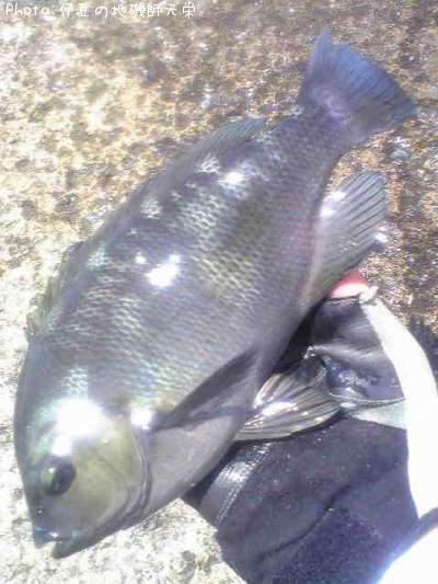 �����᥸��