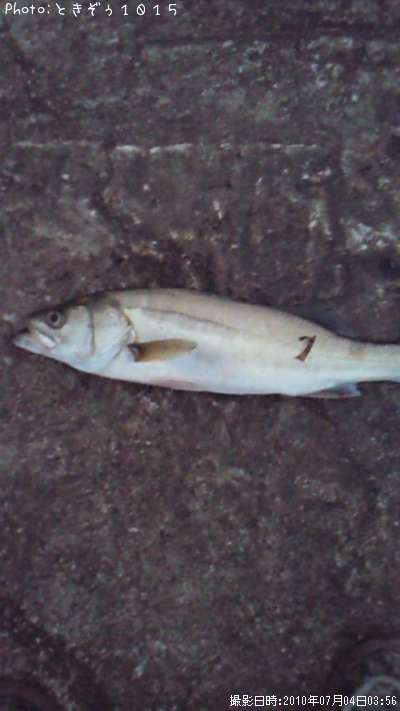 �����Х�