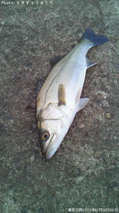 �����Х�