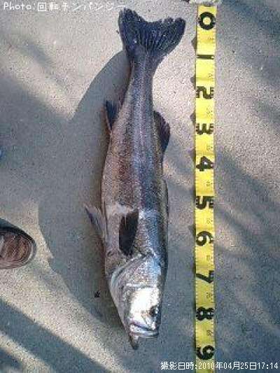 �����Х�