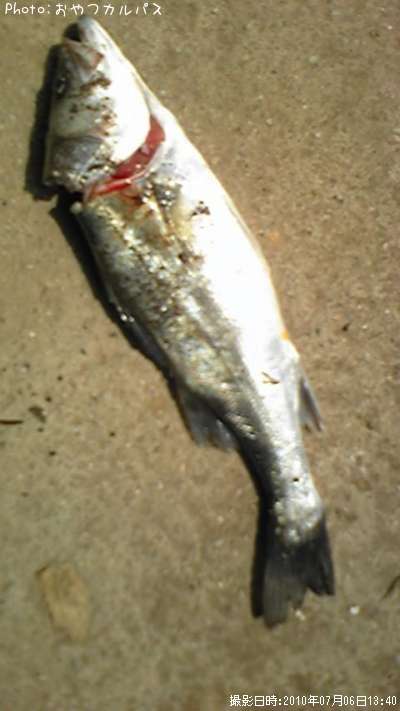 �����Х�