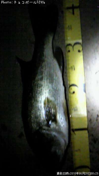 �֥�å��Х�