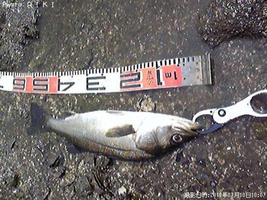 �����Х�