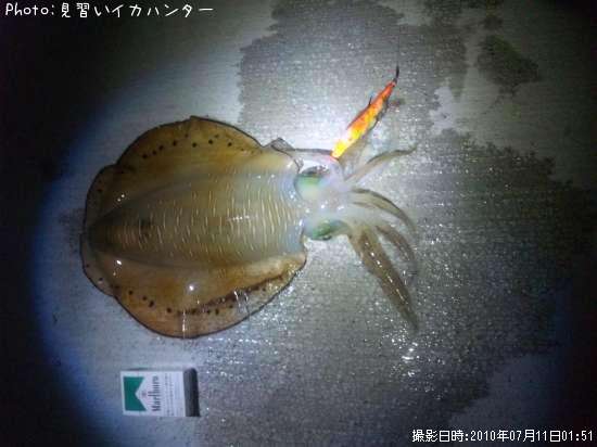 �����ꥤ��