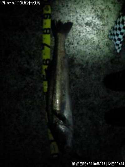 �����Х�