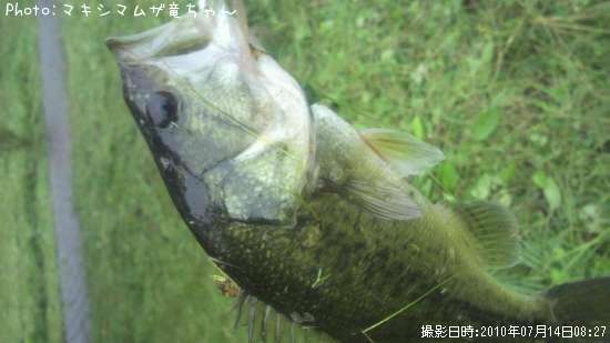 �֥�å��Х�