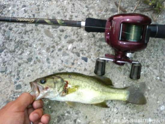 �֥�å��Х�