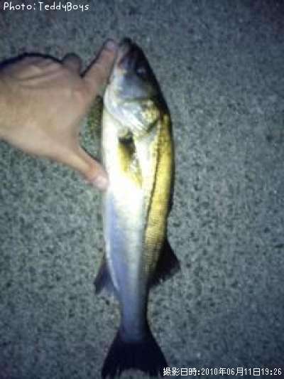 �����Х�