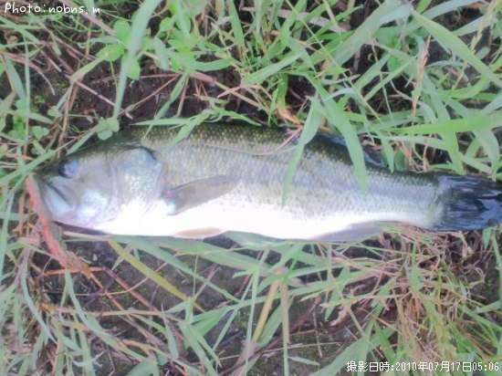 �֥�å��Х�