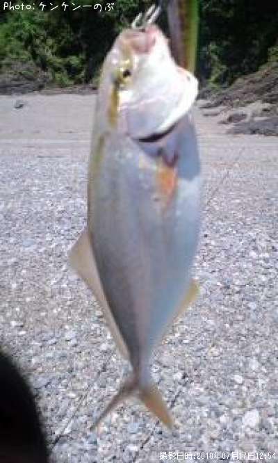 �����ʥ���ѥ���