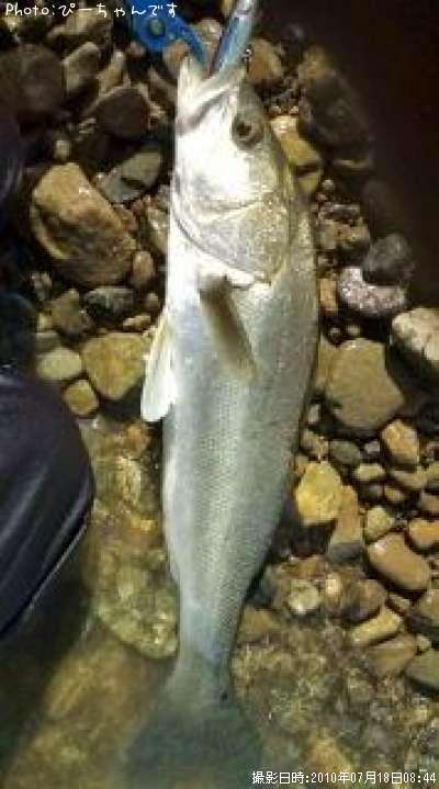 �����Х�