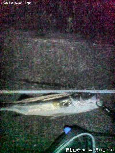 �����Х�