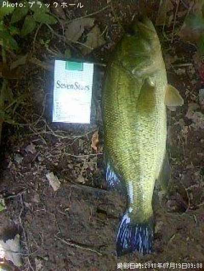 �֥�å��Х�