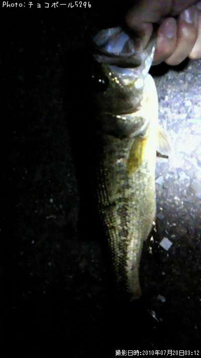 �֥�å��Х�