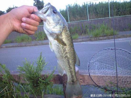 �֥�å��Х�