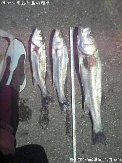 �����Х�