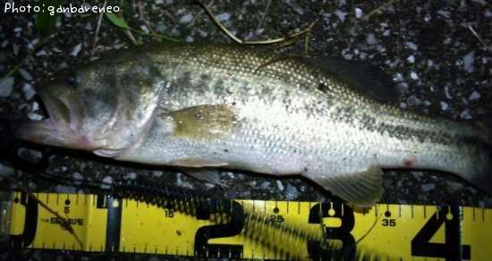 �֥�å��Х�