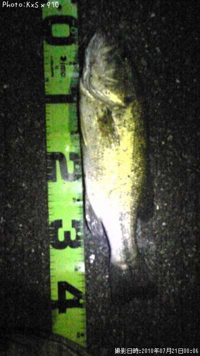 �֥�å��Х�