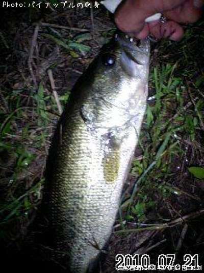 �֥�å��Х�