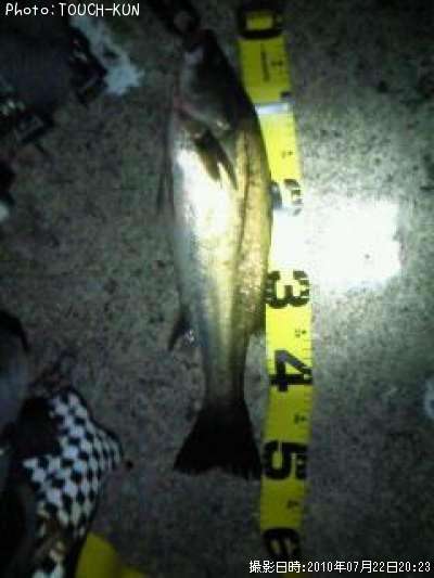 �����Х�