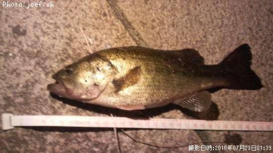 �֥�å��Х�