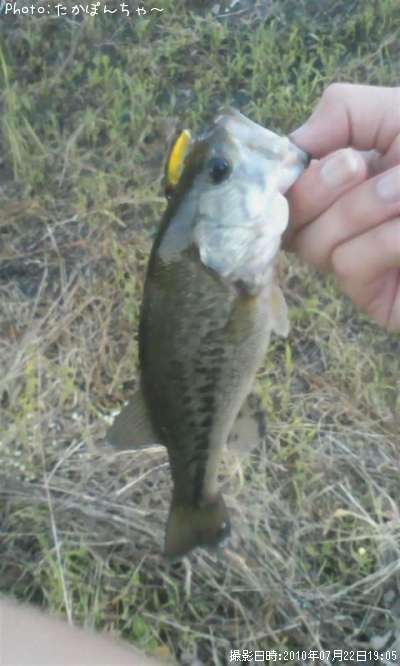 �֥�å��Х�