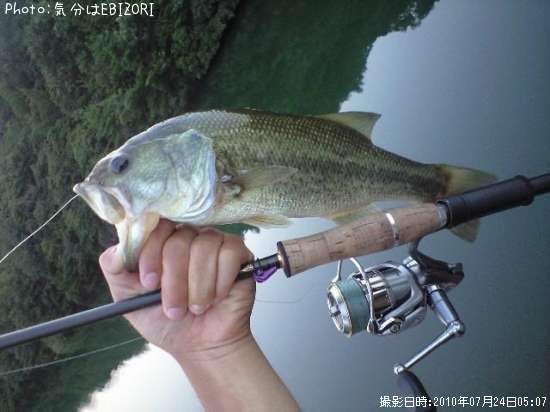 �֥�å��Х�