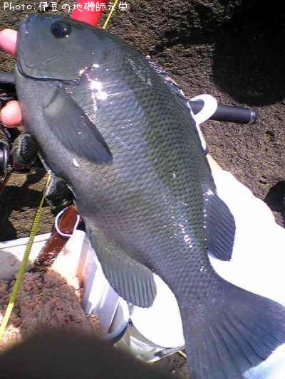 �����᥸��