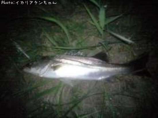 �����Х�