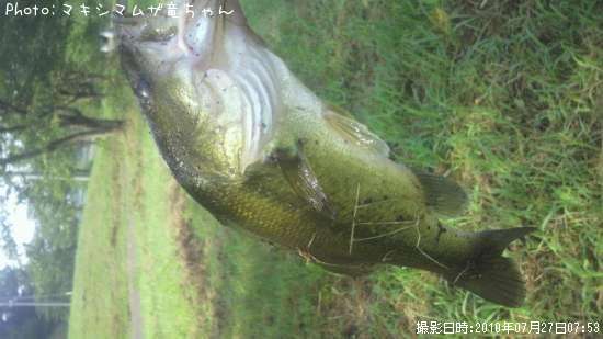 �֥�å��Х�