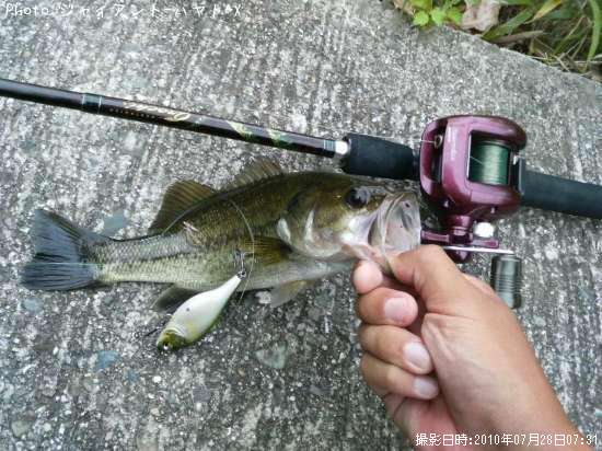 �֥�å��Х�