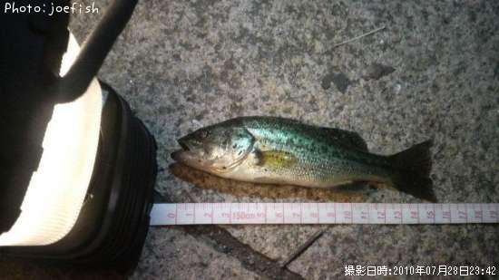 �֥�å��Х�