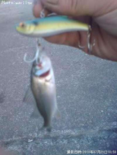 �����Х�