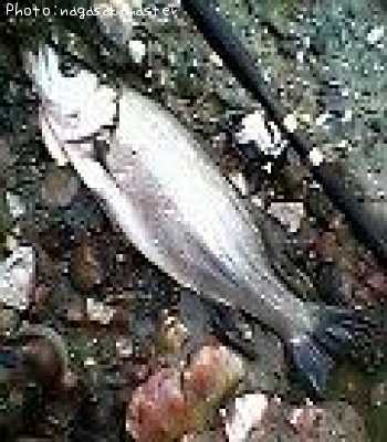 �ҥ饹����