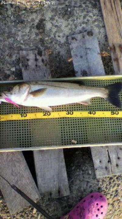 �����Х�