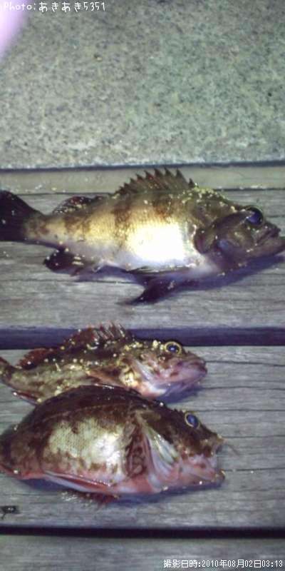 ��Х롢������